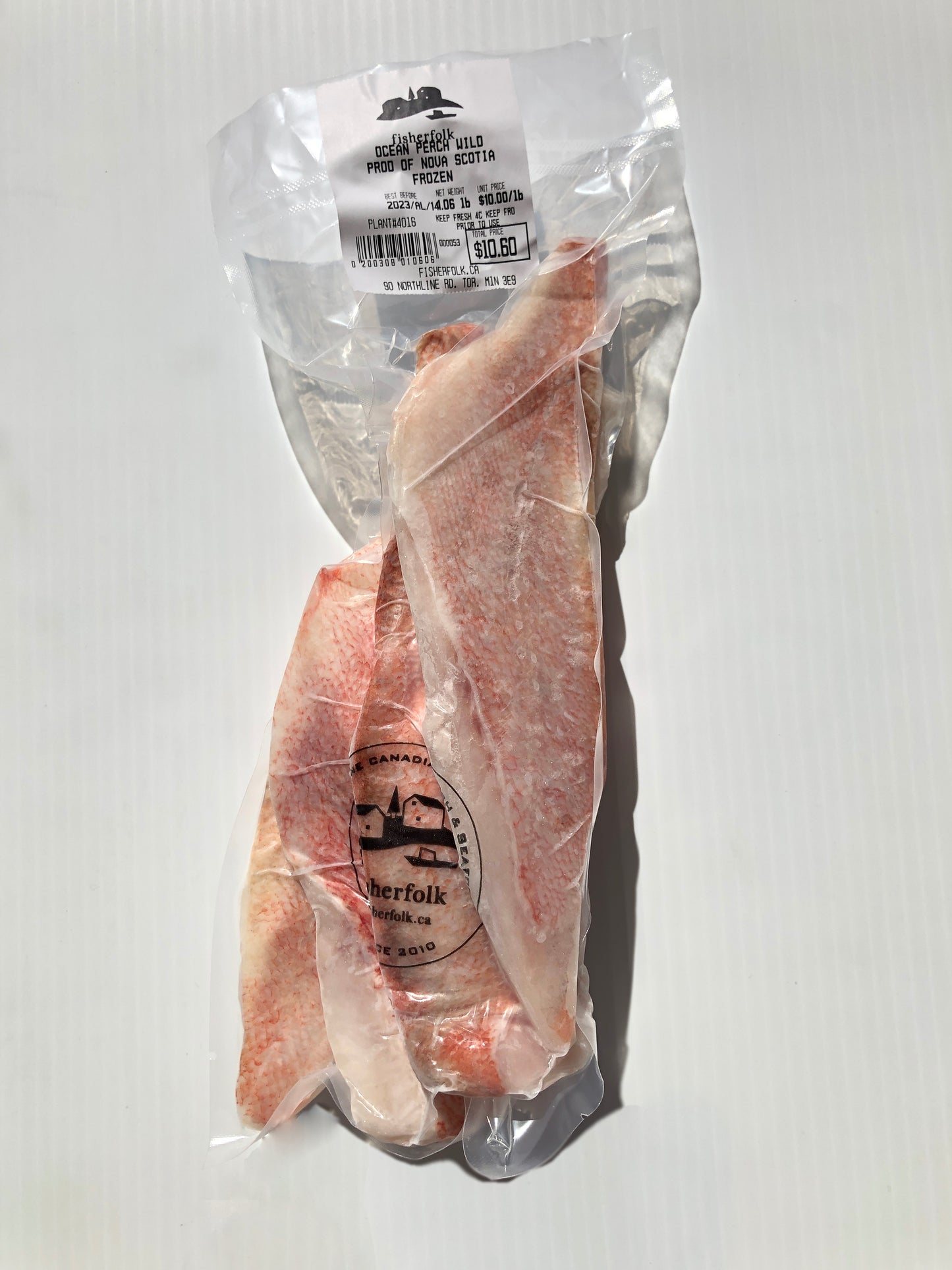 Ocean Perch NS., Wild