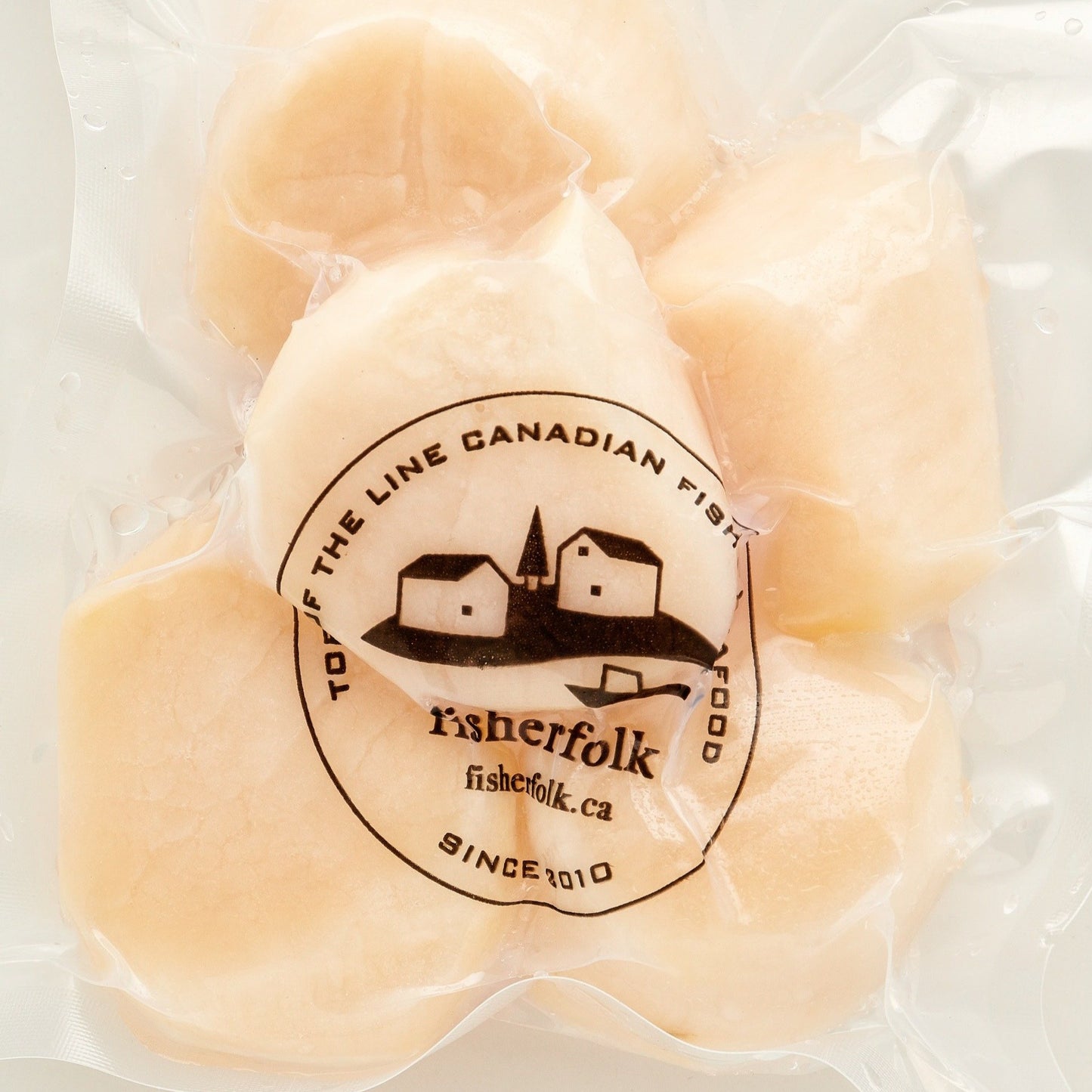 Scallops NS, Wild 10/20