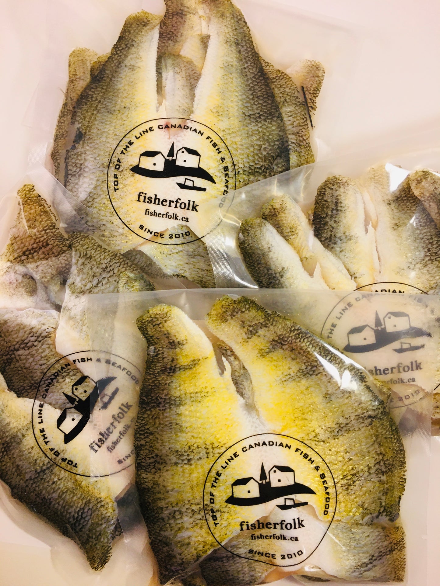 Yellow Perch Ont., Wild